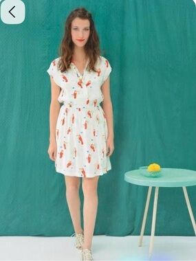 🇫🇷Des Petits Hauts Eliott Dress XS/O